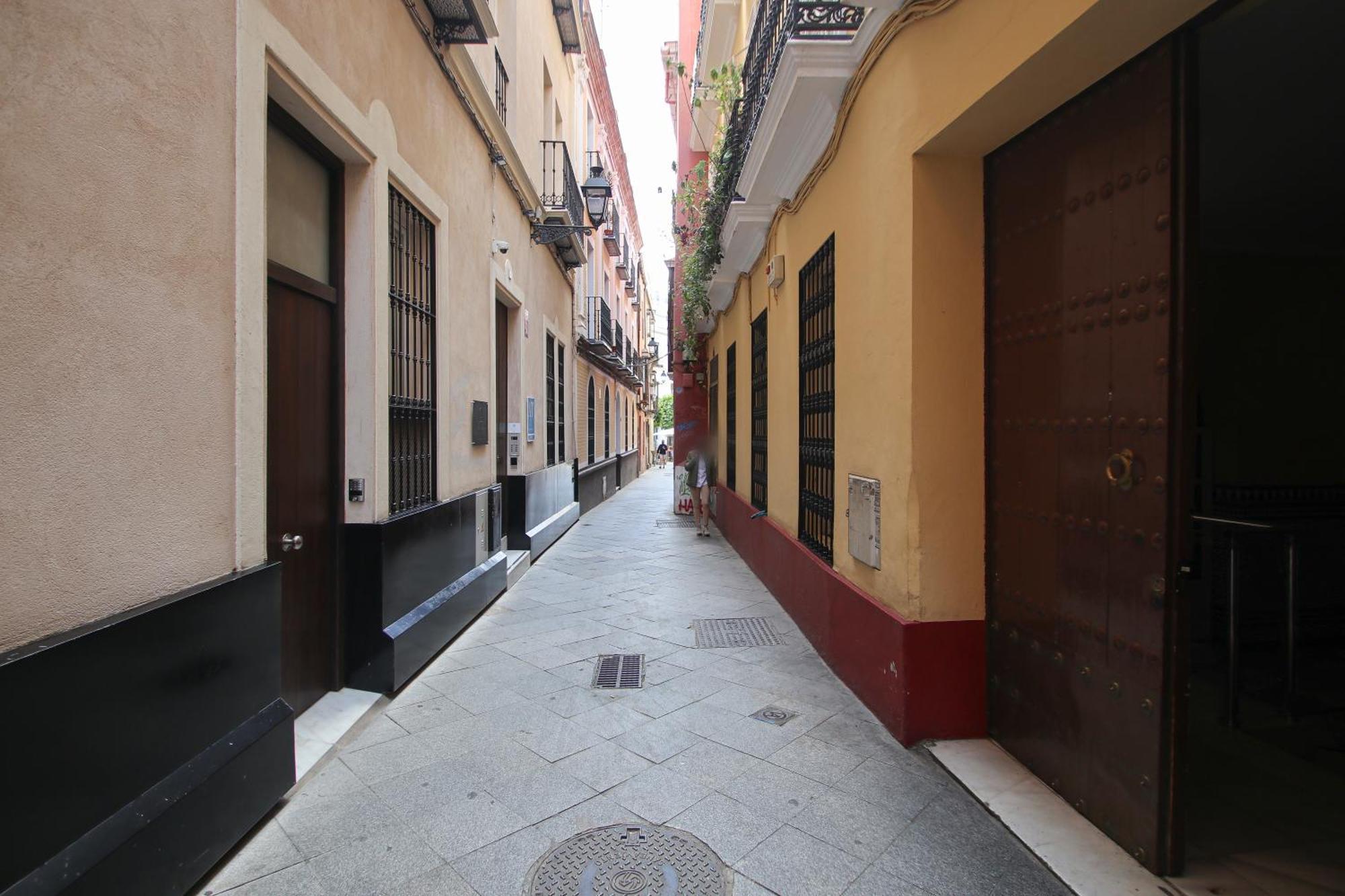 New! Luxurious & Chic Duplex Next To The Cathedral Appartement